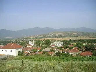 Čaška