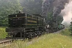 Deux Shay de classe C en double-traction sur le Cass Scenic Railroad, la no&nbsp;4 en tête, tender-avant.