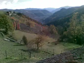 Castino