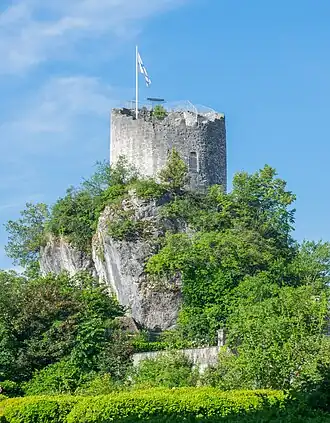 Image illustrative de l’article Château de La Roche-sur-Foron