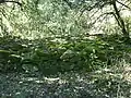 Ruines supposées du Castrum.