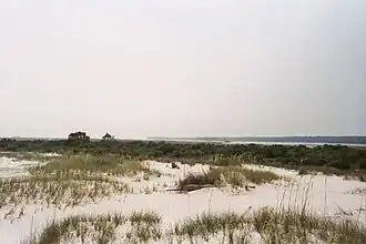 Vue de Cat Island (l'île aux Chats).