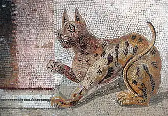 Une mosaïque de Pompéi.