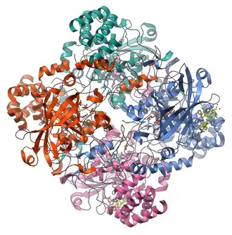 Image illustrative de l’article Catalase