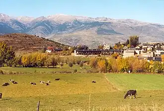 Urús