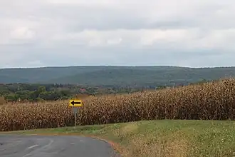 Roaring Creek Township (Pennsylvanie)