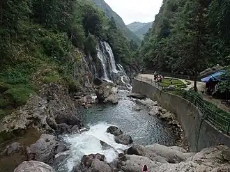 Hoàng Liên