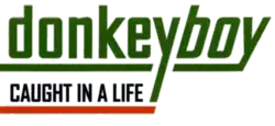 Description de l'image Caught in a Life logo.png.