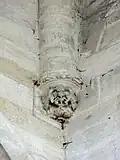 Cul-de-lampe dans l'angle de la 1re&nbsp;travée.