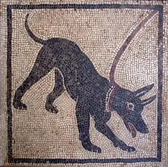 Mosaïque similaire retrouvée à la maison d'Orphée&nbsp;(it), également à Pompéi, et conservée au musée archéologique de Naples.