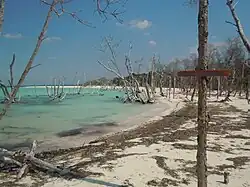 Punta Arena