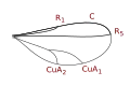 Cecidomyiinae.