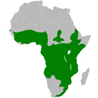 Description de l'image &nbsp;Cecropis_abyssinica_distribution_map.png.