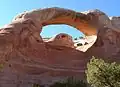La boucle des arches commence par une descente difficile à travers Cedar Tree Arch.