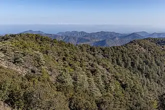 Image illustrative de l’article Forêt domaniale de Pafos
