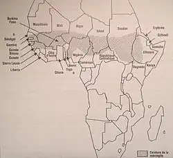 carte de l'Afrqiue comportant une bande grisée courant du Sénégal à l'ouest à l'Éthiopie à l'est et correspondant à la zone où il pleut entre 300 et 1 100 mm d'eau par an soit la zone où sévissent les épidémies de méningites