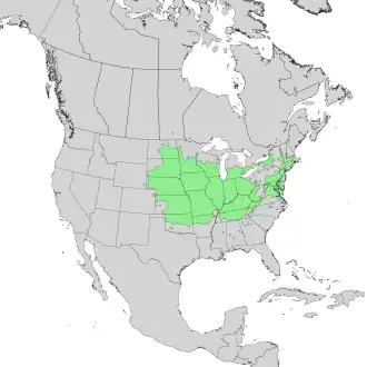 Description de l'image Celtis occidentalis range map 1.png.