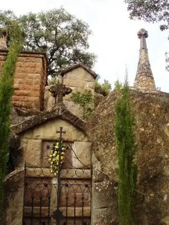 Olius