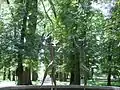 Parc central.