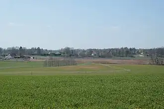 Możdżany