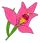 icône décorative