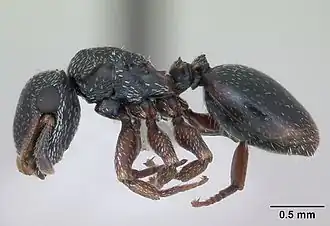 Description de cette image, également commentée ci-après