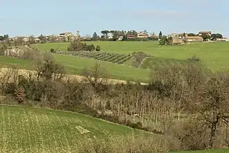 Cerqueto