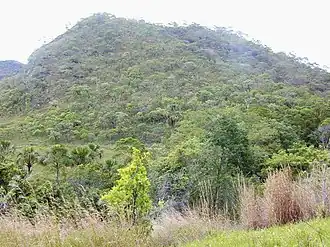 Vue de la savane du Cerrado, à Goiás, au centre-ouest du Brésil.