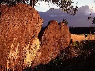 Cerro Duida.