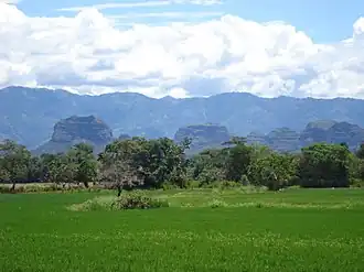 Ortega (Tolima)