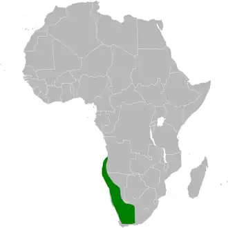 Description de l'image Certhilauda subcoronata distribution map.png.