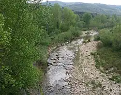 le Cervaro