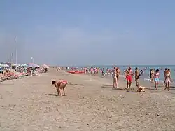 Plage Zadina