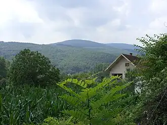 Česta