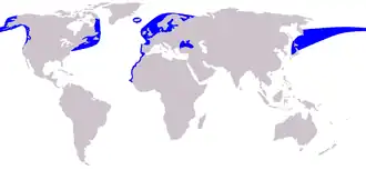 Description de l'image Cetacea_range_map_Harbour_Porpoise.PNG.