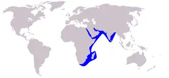 Description de l'image Cetacea_range_map_Indian_Humpback_Dolphin.PNG.