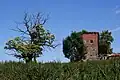 Tourelle du jardin avec un arbre remarquable