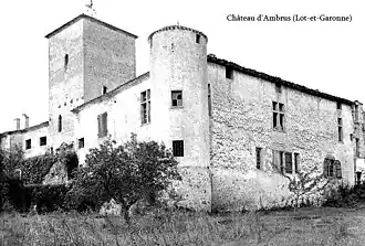 Ambrus