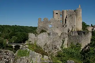 Image illustrative de l’article Château d'Angles-sur-l'Anglin
