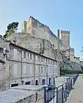 Château de Beaucaire vu depuis la digue de la Banquette.