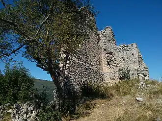 Image illustrative de l’article Château de Calamès