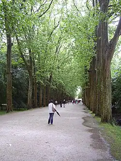 La grande allée d'honneur.