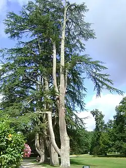 Le parc.