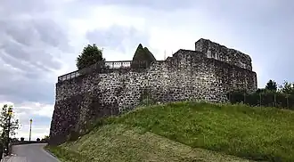 Image illustrative de l’article Château de Bonne