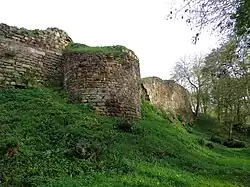 Le château de Montafilan.