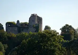 Image illustrative de l’article Château de Montaigu-le-Blin