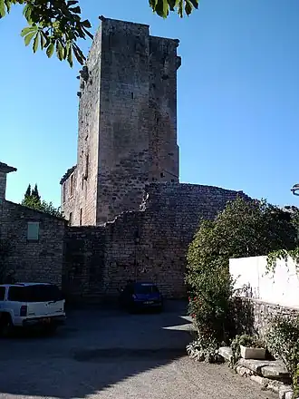Image illustrative de l’article Château de Montclus