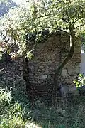 Vestiges de mur.