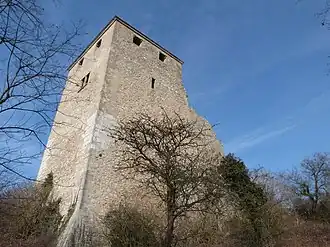 Château de Saint-Denis-en-Bugey.