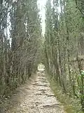 Le chemin d'accès au château